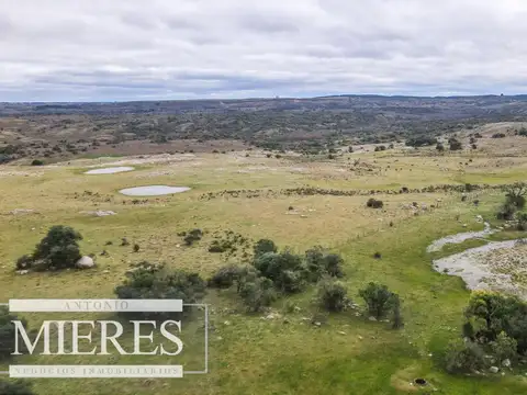 Estancia completa de 2400ha en Treinta y Tres y Cerro Largo