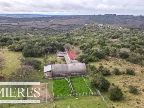 Estancia completa de 2400ha en Treinta y Tres y Cerro Largo