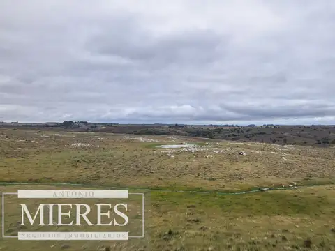 Estancia completa de 2400ha en Treinta y Tres y Cerro Largo