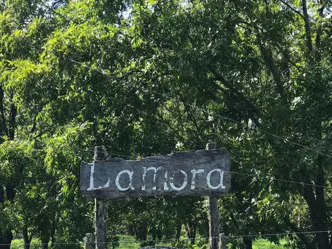 Campo a la venta en Santa Rosa de Calchines