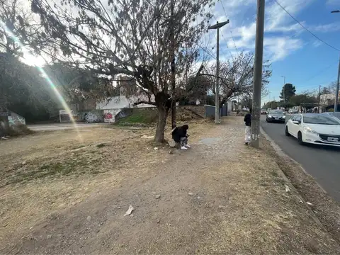 Terreno en Venta de 800,0 m2