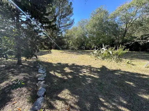 Pehueches 100