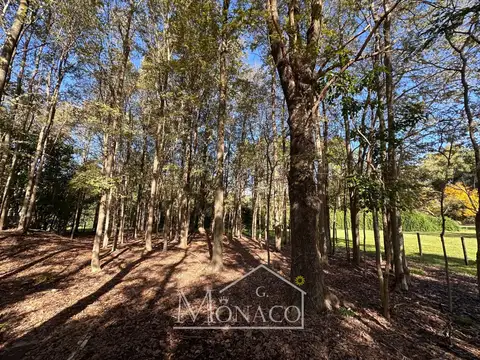 Casa en Venta con 7 cocheras