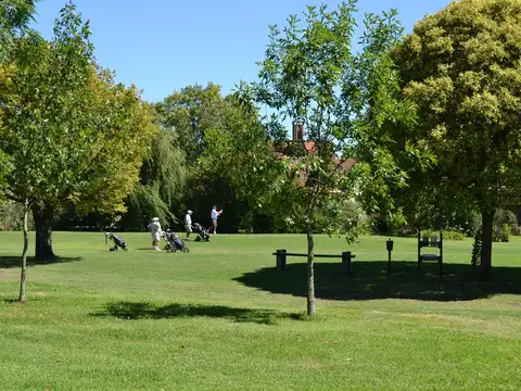 CORAZÓN DE GOLF SOBRE GOLF