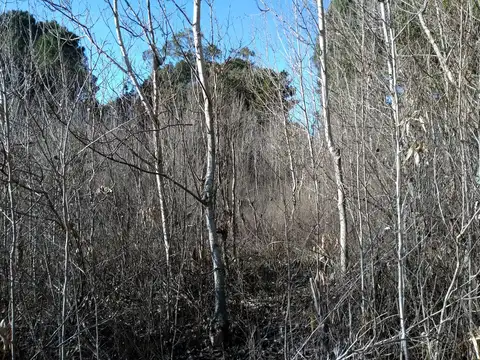 Terreno en Venta, FOS 0,4