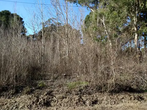 Terreno en Venta, FOT 0,6