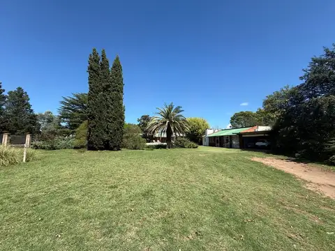 Carpintero 100