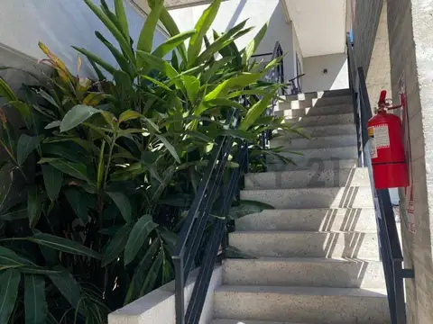 Las Campanillas 1000