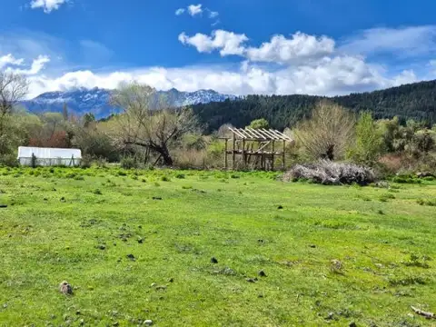 camino viejo