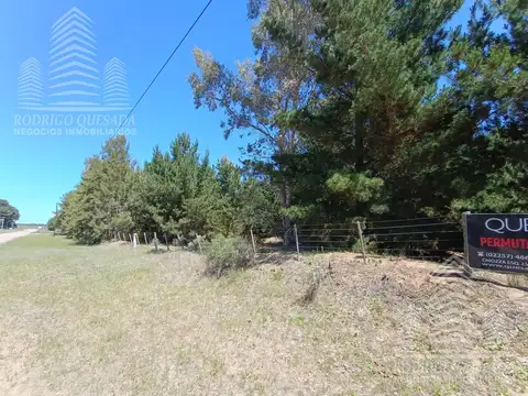 |18 HECTAREAS EN EL PINAR| |IDEAL LOTEO| |LA LUCILA|