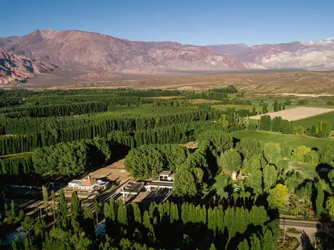 Terreno en Venta de 13269,0 m2