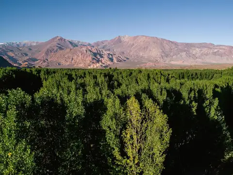 RUTA NACIONAL N°7 USPALLATA LAS HERAS