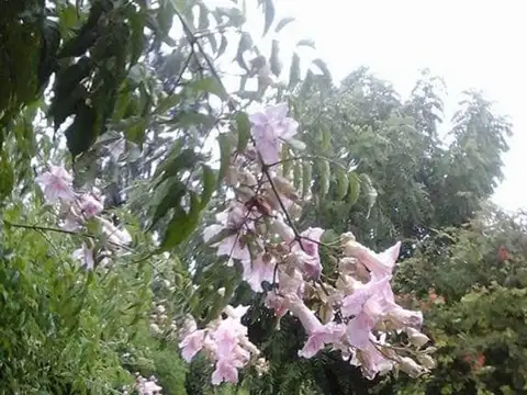 EXCELENTE PROPIEDAD EN MERLO CENTRO 7 AMBIENTES