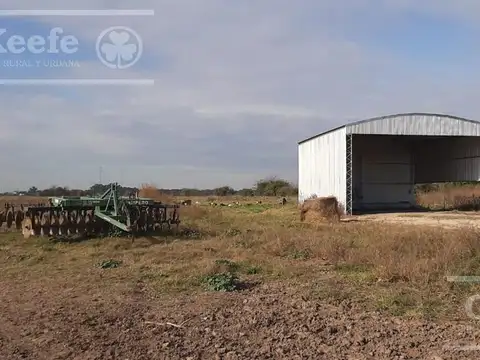 340 has en Venta en Coronel Brandsen - Sobre Autovía 2 - Campo Mixto -  Potencial Desarrollo Inmobiliario