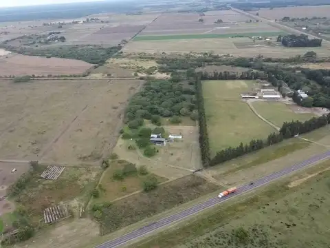 EN VENTA 3 HECTAREAS SOBRE RUTA 11,AVELLANEDA
