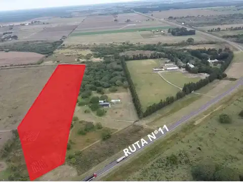 EN VENTA 3 HECTAREAS SOBRE RUTA 11,AVELLANEDA