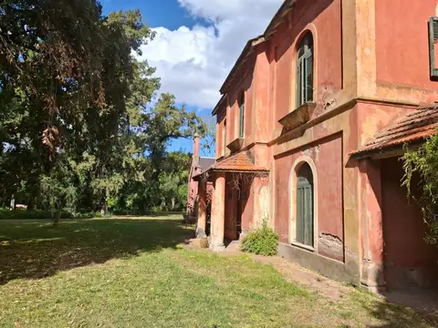 Ruta 3. Historico Campo 34has. Ideal Desarrollo