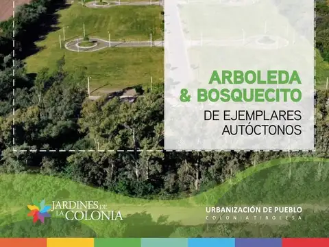 Consultar dirección