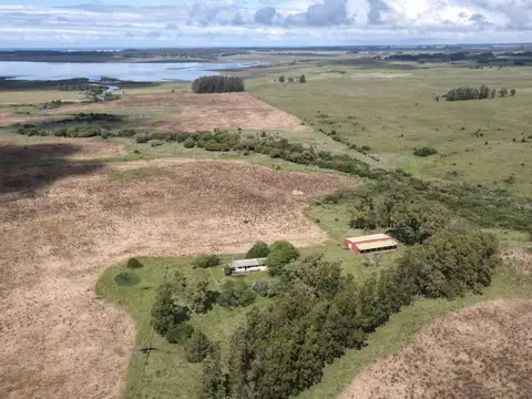 Campo - Venta - Uruguay, JOSE IGNACIO - RUTA 9 Km.156 camino lindero a Madellin km.156