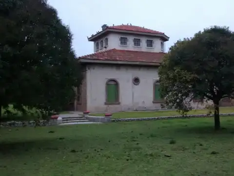 Saavedra Pcia. de Buenos Aires