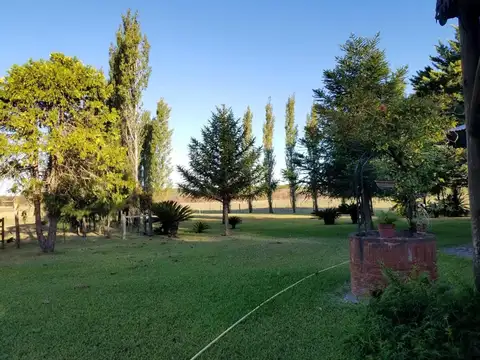 Campo en Venta de 100  ha