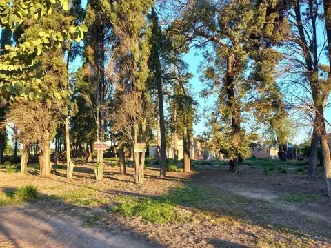 Terreno en Venta de 3000,0 m2