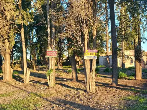 Pte. Peron Y Bergantin 25 De Mayo