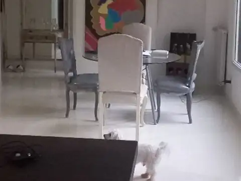 Casa en Alquiler 17 años