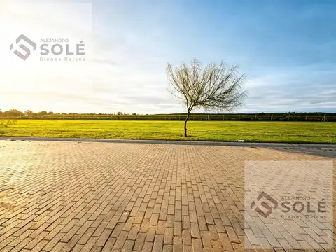 Acquavista