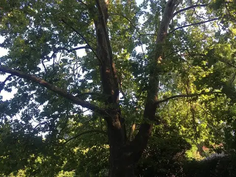 Casa en Venta con 4 cocheras