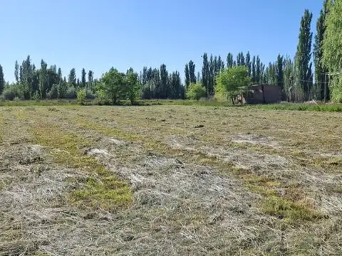 VENDO CHACRA DE 7.4 Has en Sargento Vidal Provincia de Rio Negro, con frente de Ruta Nac 151
