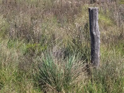 Terreno en Venta 15  mts Frente