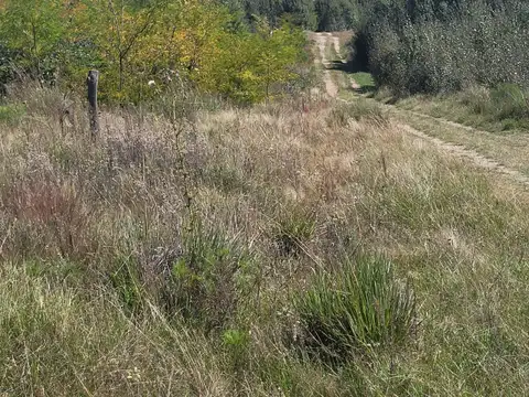 LOTE ALAMBRADO DE 450M2 EN YACANTO CALAMUCHITA