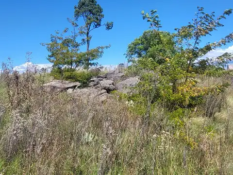 Terreno en Venta de 450,0 m2