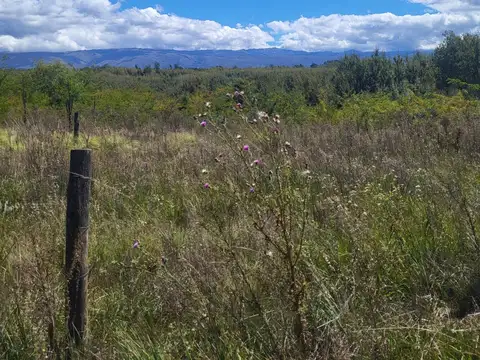 Terreno en Venta 30  mts Fondo