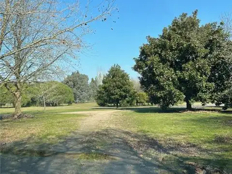 Estancia Benquerencia