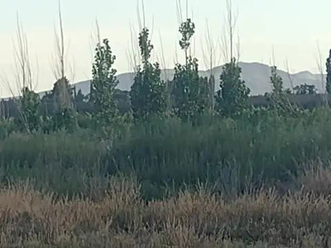 VENDO TERRENO RAMA CAIDA CALLE CUBILLOS