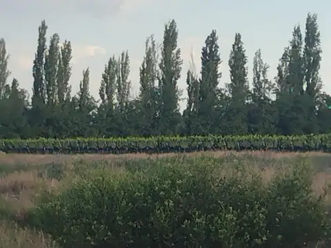 Terreno en Venta en San Rafael, USD 39.999