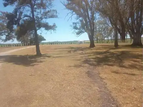Campo en Venta de 930  ha