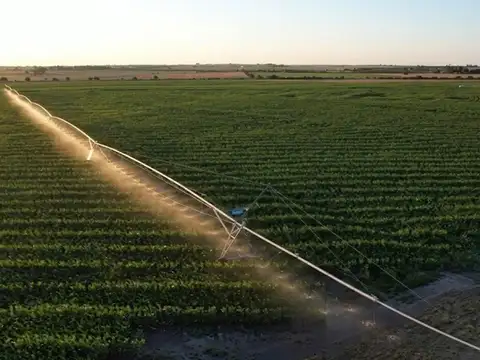 Establecimiento Santa Rita - 930 Hectareas