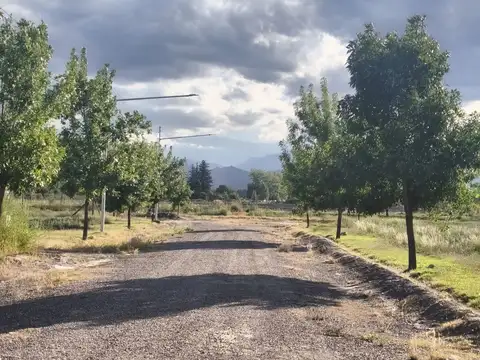 Terreno en Venta de 366,0 m2