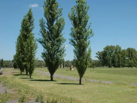 Terreno en Venta en Comarcas de Luján, USD 33.000