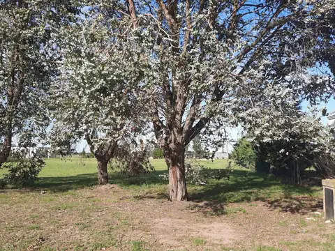 Terreno en Venta de 2000,0 m2