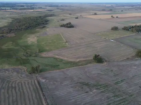 Se vende campo 320 hectáreas mixtas en Baradero