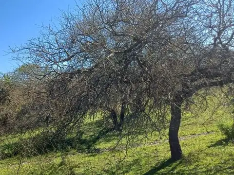 CAMPO A LA VENTA, BAÑADO SAN ANTONIO, SAN ISIDRO