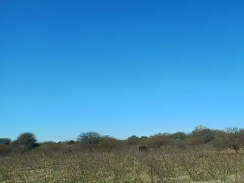 Ruta Provincial 54 100