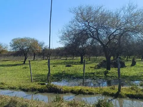 CAMPO A LA VENTA, BAÑADO SAN ANTONIO, SAN ISIDRO