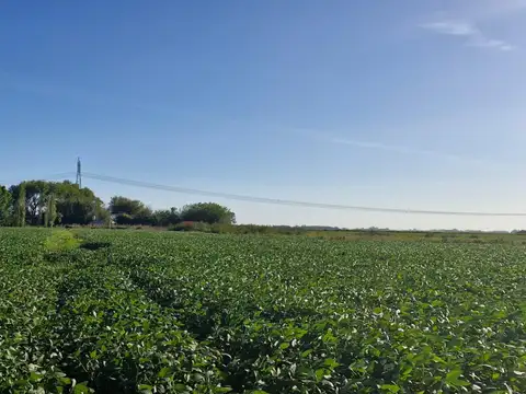 Campo en Venta de 34  ha