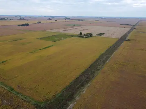 Campo en Venta de 34  ha