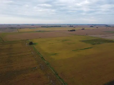 Ruta Provincial 10s 1